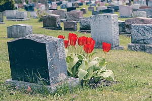 a cemetery that strictly enforces a no trespassing policy