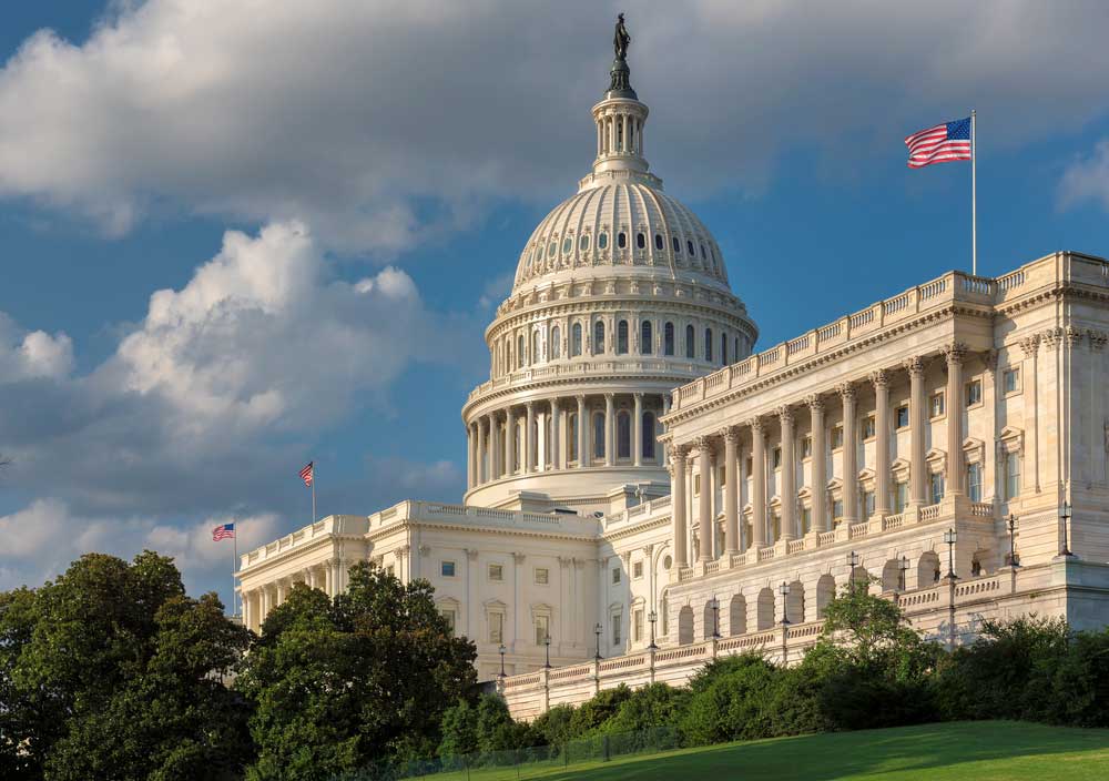 Capitol Hill Landscape