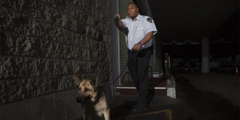 police officer uses excessive force by siccing the dog on suspect