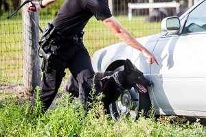 police K9 unit black shepherd finding drugs narcotics