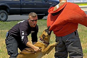 training to prevent police dog injury